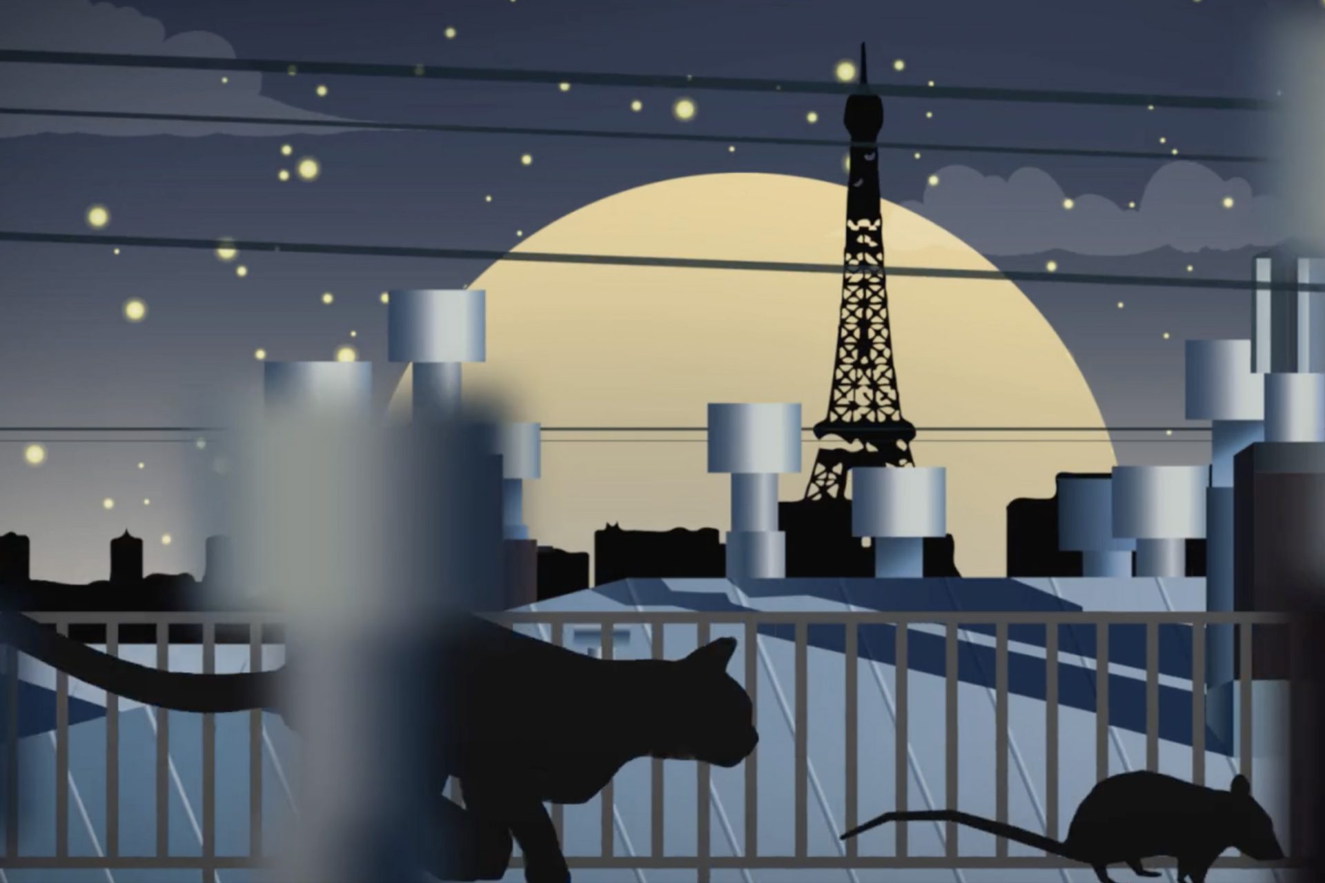 motion design DECHRA