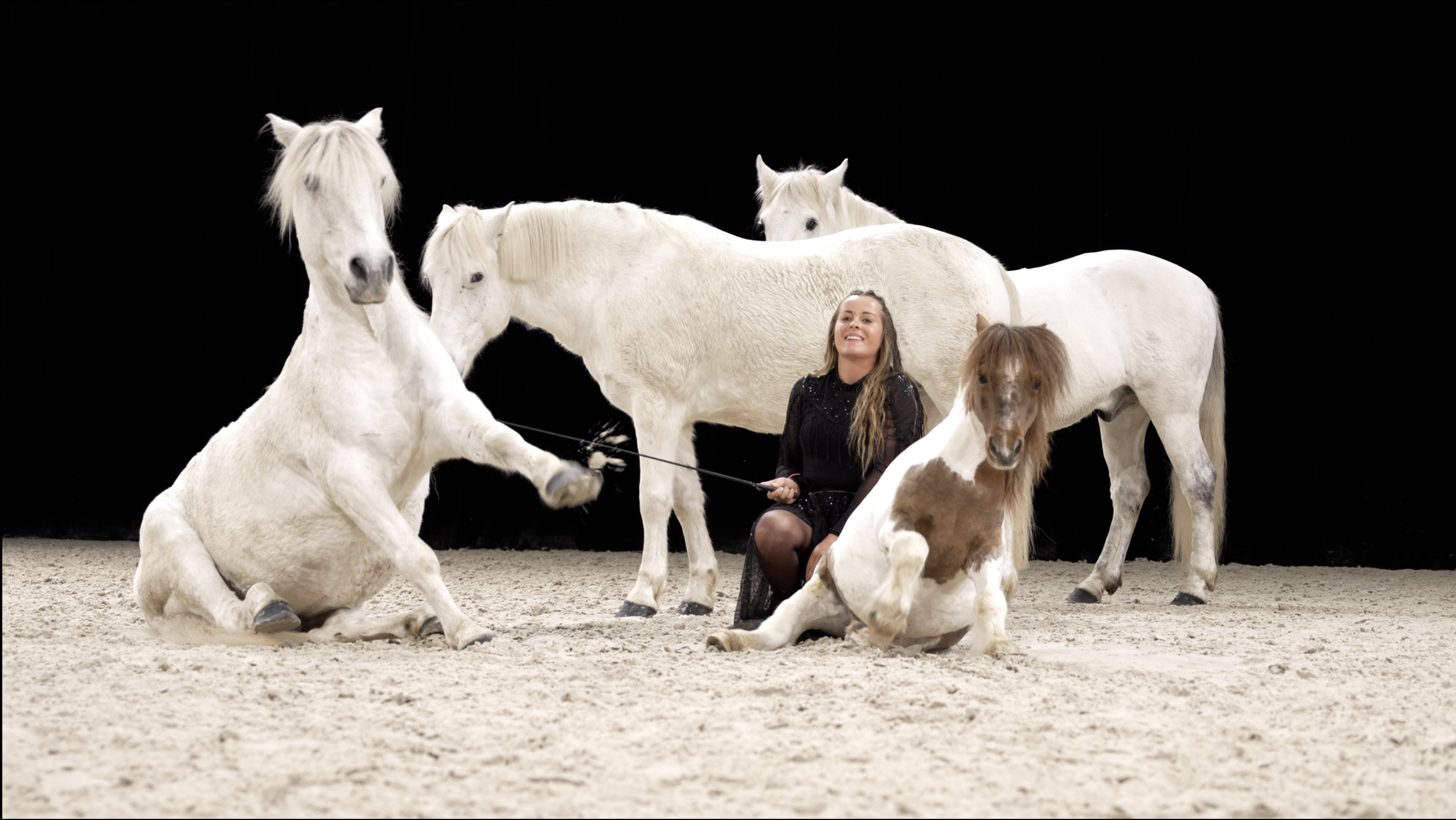 Salon du cheval d'Angers